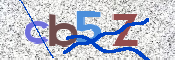 صورة الكابتشا