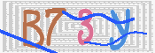 صورة الكابتشا